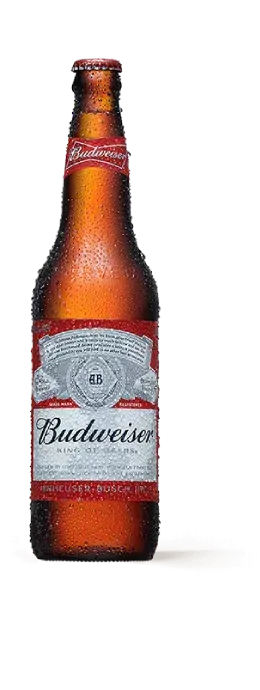 Garrafa de Cerveja Budweiser 600ml PNG transparente