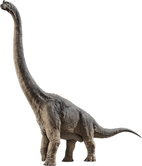 Braquiossauro de Pescoço Longo PNG transparente
