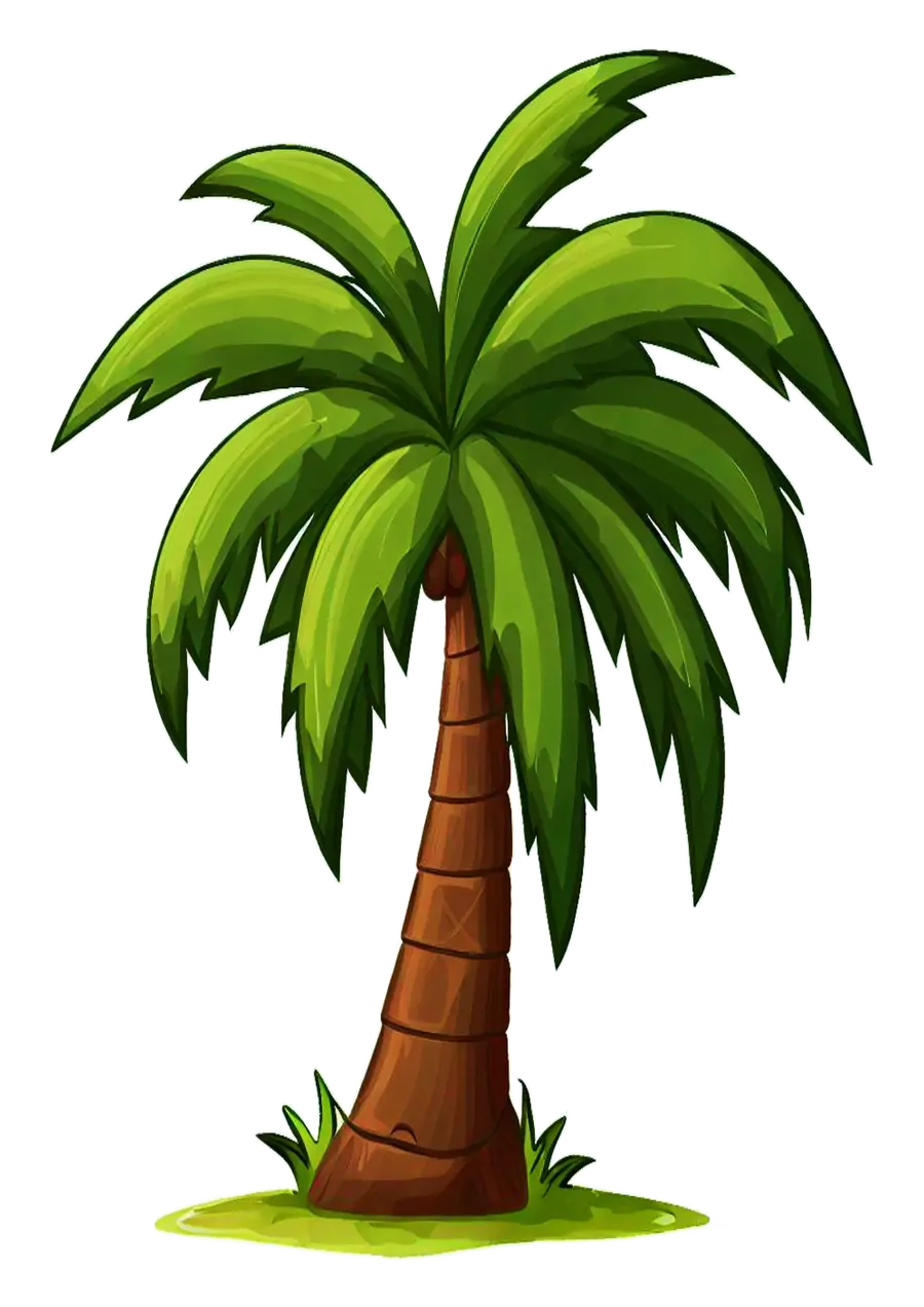 Coqueiro Árvore Tropical Desenho PNG transparente