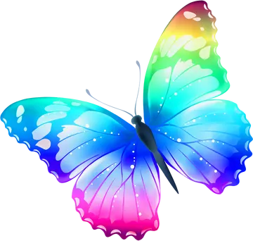 Borboleta Colorida PNG