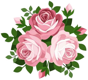 Três Rosas Cor-de-Rosa PNG