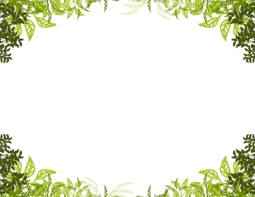 Moldura de Folhas Verdes PNG