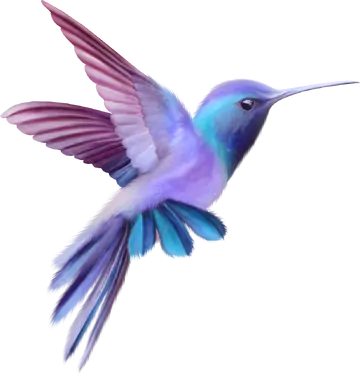 Beija-Flor Roxo e Azul PNG