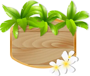 Placa de Madeira com Folhas e Flores Brancas PNG