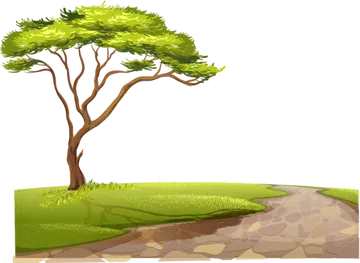 Árvore Acácia na Savana PNG