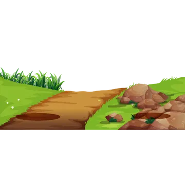 Caminho de Terra com Grama PNG