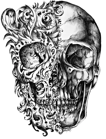 Caveira Psicodélica Ornamentada PNG