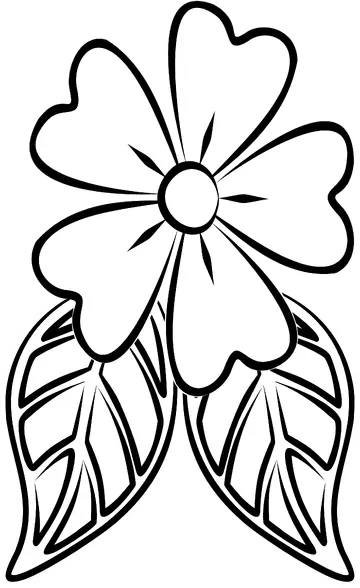 Flor com Folhas Desenho Simples PNG