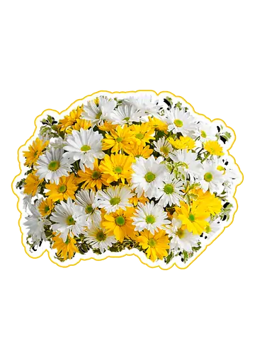 Buquê de Flores Amarelas e Brancas PNG